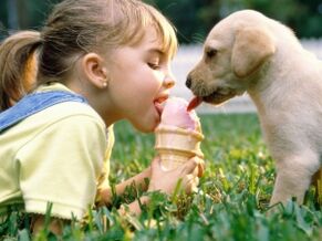 ein Mädchen isst mit einem Hund Eis und infiziert sich mit Parasiten